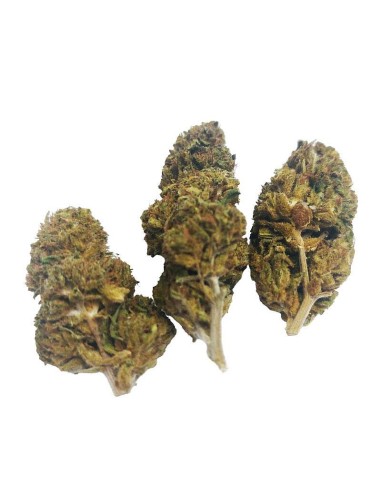 Cheese CBD Outdoor – Fleur CBD française cultivée en permaculture | DocVapo