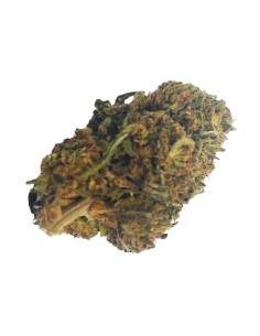 Cheese CBD Outdoor – Fleur CBD française cultivée en permaculture | DocVapo