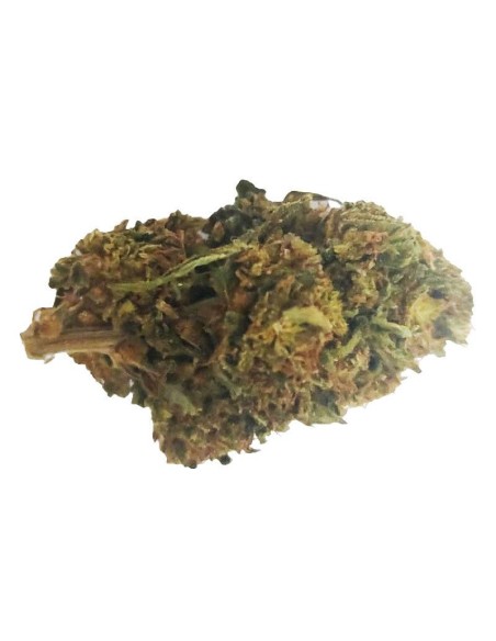 Cheese CBD Outdoor – Fleur CBD française cultivée en permaculture | DocVapo