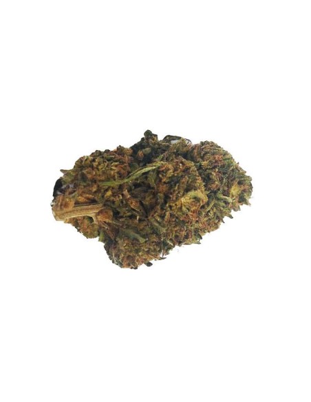 Cheese CBD Outdoor – Fleur CBD française cultivée en permaculture | DocVapo