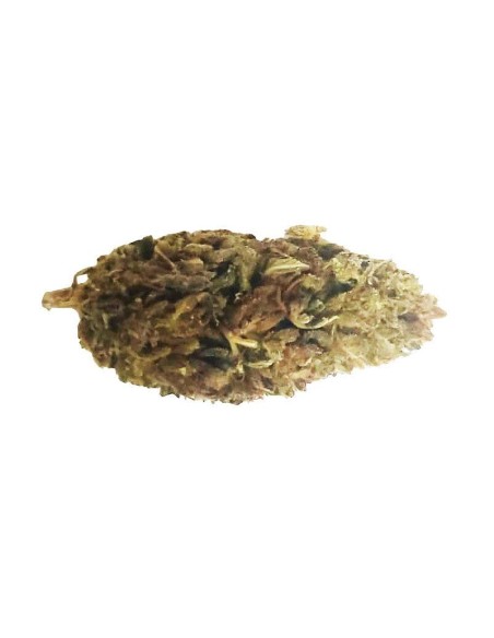 Cheese CBD Outdoor – Fleur CBD française cultivée en permaculture | DocVapo