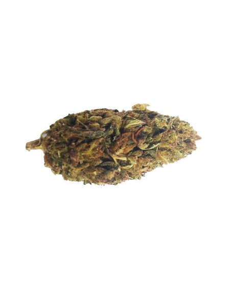 Cheese CBD Outdoor – Fleur CBD française cultivée en permaculture | DocVapo