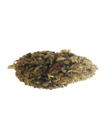 Cheese CBD Outdoor – Fleur CBD française cultivée en permaculture | DocVapo