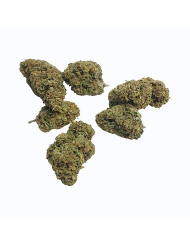 Super Skunk CBD Bio permaculture