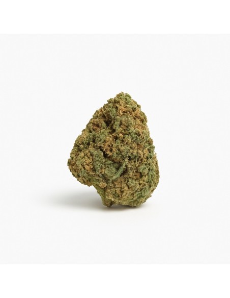 Super Skunk CBD – Fleur de chanvre premium, cultivée en France selon les normes bio (CBD ~8 %, THC ≤ 0,2 %)