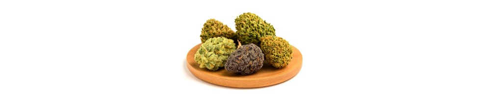 Fleurs CBN - Détente profonde et relaxation | DocVapo