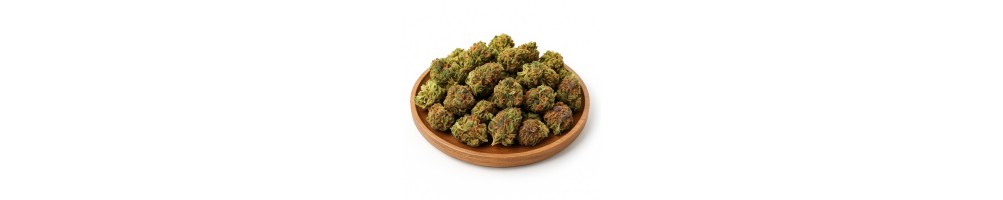 Fleurs CBD de qualité - Indoor, Outdoor & Greenhouse | DocVapo